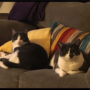 Meet your Posher, Marisa